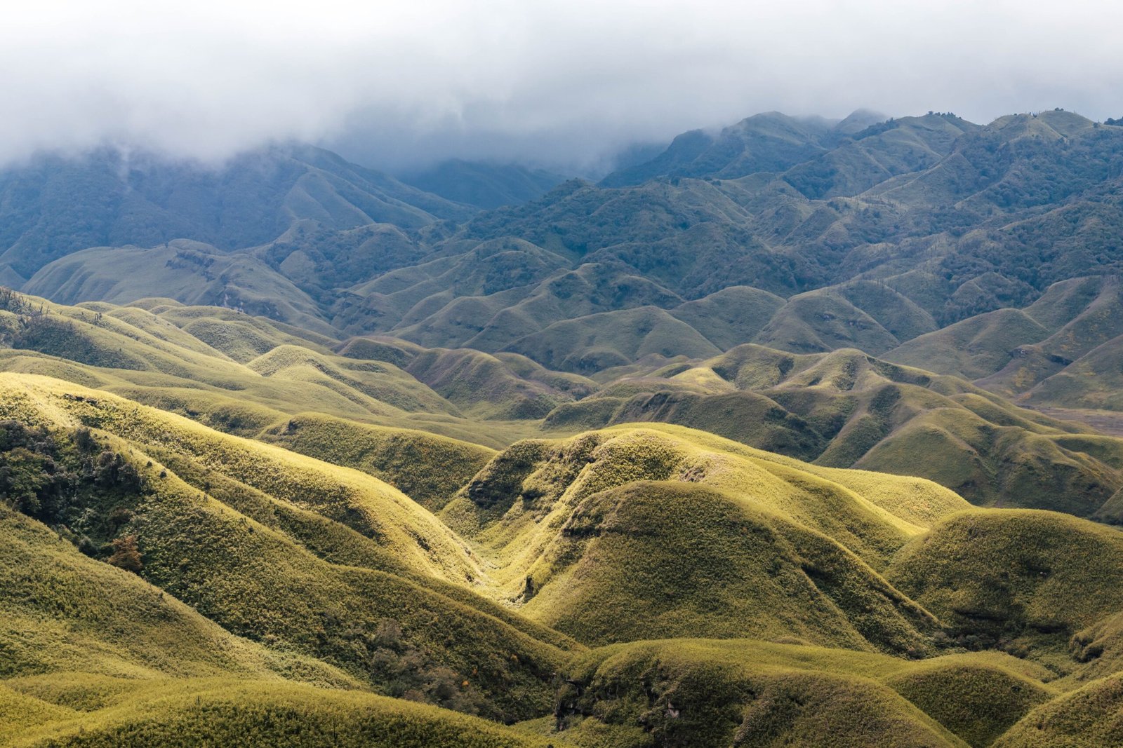 Dzukou Valley, Nagaland & Manipur | Morten Ross