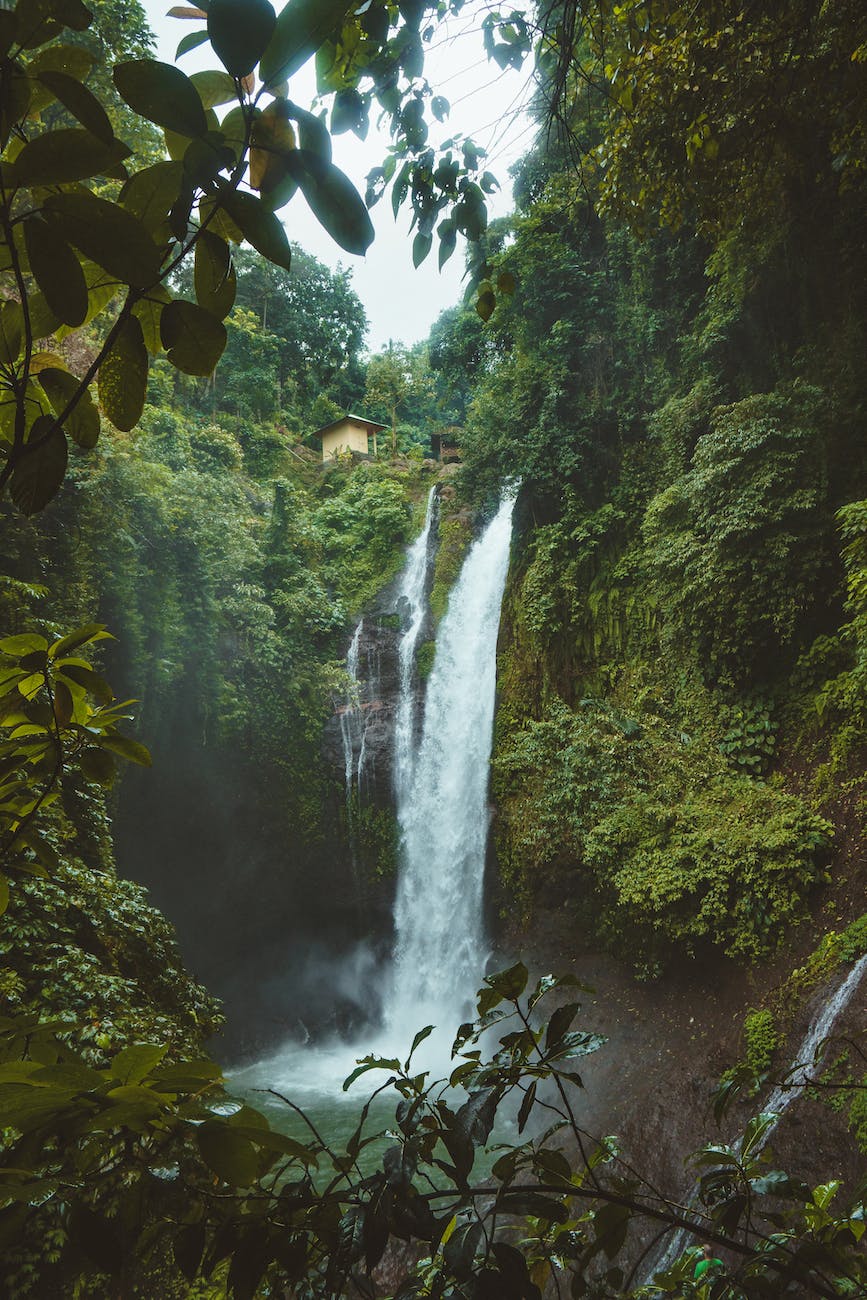 bali waterfall