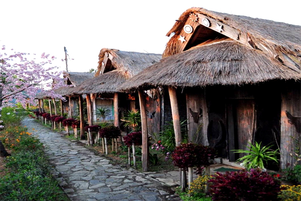 Tuophema Village - A Glimpse into Naga Tribal Life